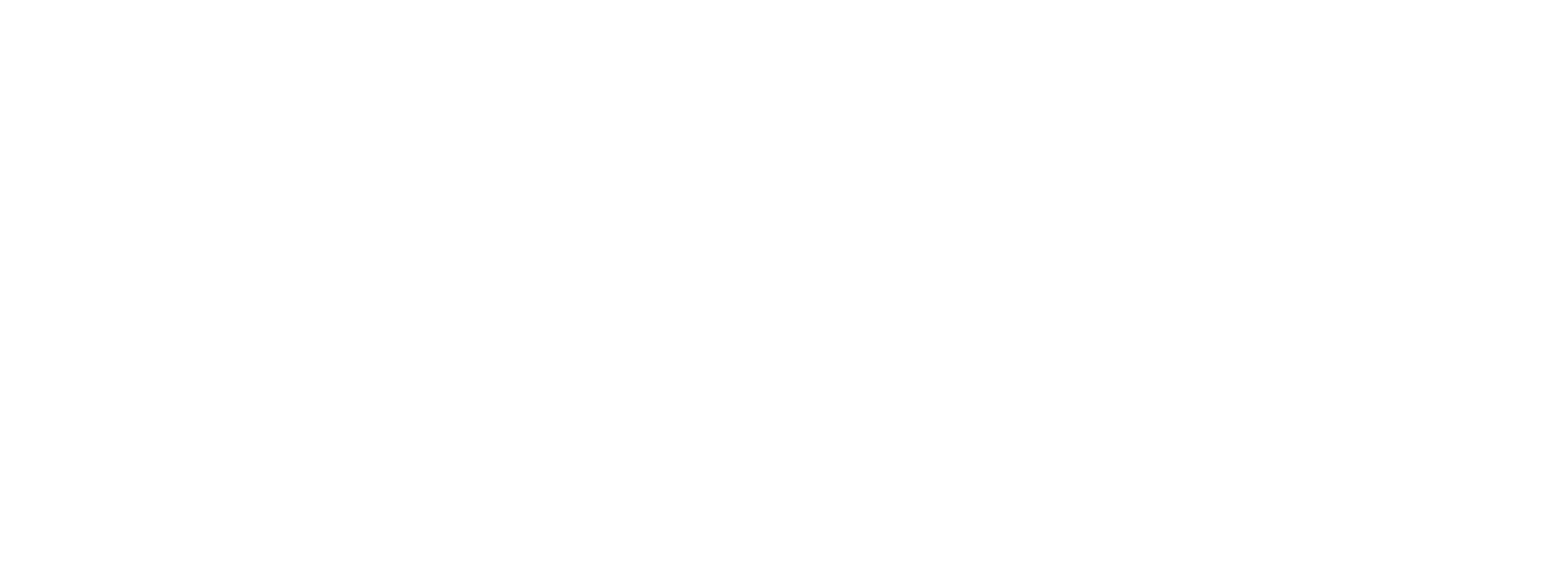 SmartCat by Global Swanky