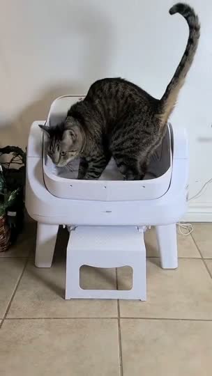 The SmartCat S12 set up on a tiled floor with a cat approaching